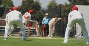 Swans taught harsh lesson