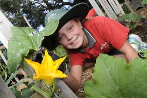 School veggie garden inspires kids