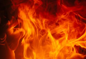 Bushfire safety gets priority