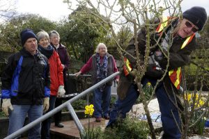 Learning the art of rose pruning