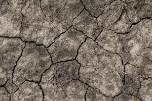 Casey to raise funds for drought affected farmers