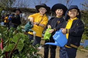 Students get their hands dirty