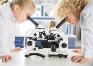 School holiday science fun