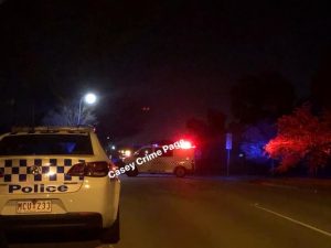 Man armed with gun arrested