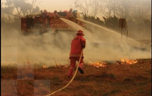 Celebrating emergency services