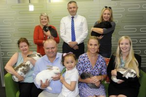 Cosmetic animal testing banned