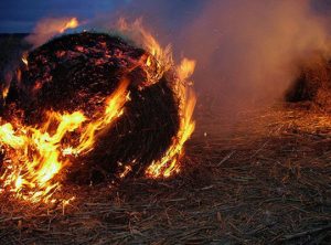 Three bushfire survival plan steps…