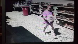$450 plant stolen