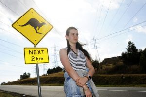 Taking a stand to save wildlife