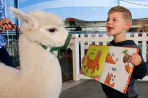 Alpaca storytime an in-sync hit