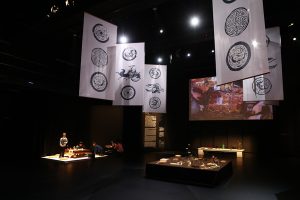 Han Dynasty expo hailed a success
