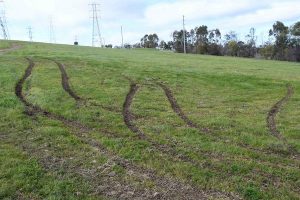 Hoons tear up park