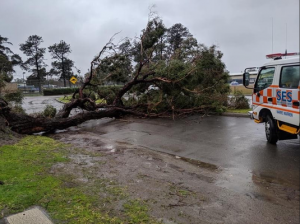 Wild weather wreaks havoc