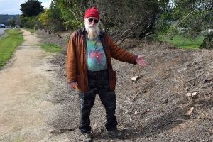 Shock tree removal