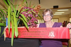 Plant lovers flock to orchid show