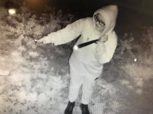 Bandits caught on cam
