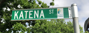 Help name new streets in Casey