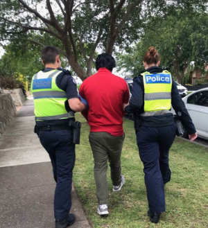 Police raid finding guns, cash and drugs