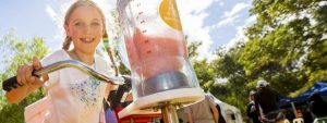 Casey’s green festival makes sustainability fun
