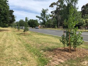 New phase begins for historic Avenue