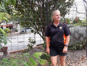 Fury as plant thieves help themselves