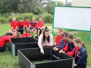 Classroom is a breath of fresh air
