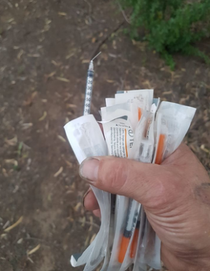 Needles found at park