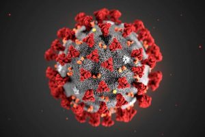 Covid-19 cases remain steady at 37