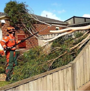 Calls for SES help as winds lash region