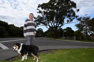 Trees pose to danger says resident