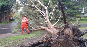 Region hit by strong winds
