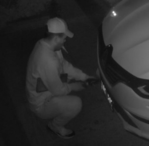 Police appeal following theft