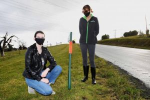 Roos spared from roadkill