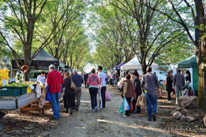Farmers win reprieve as market stays open