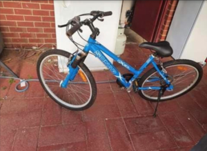 Plea for return of bicycle