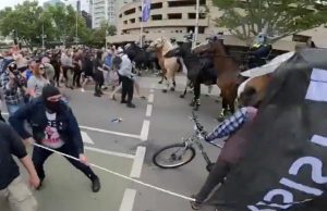 Animal cruelty charges following horse attack