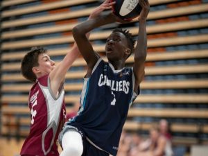 Depth of local talent unveiled