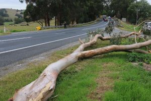 Students OK after crash
