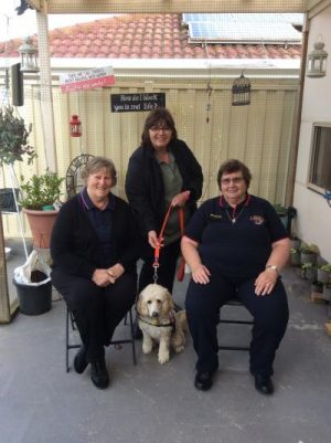 Hearing dog here to help