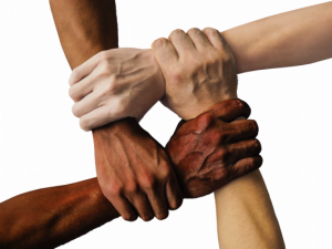 Recognising outstanding multicultural Victorians