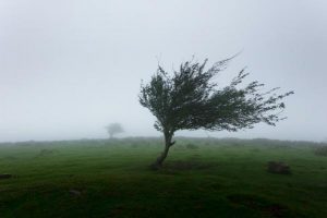 Wind and rain to continue