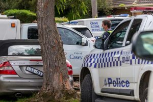 Dog dead after Hampton Park incident