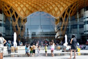 Council adopts annual report