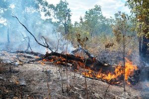 Police to stamp out reckless fire behaviour this summer
