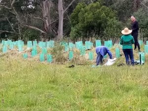 Landcare grants support environmental volunteering