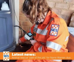Pair busy with wildlife rescues