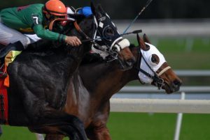 Landmark thoroughbred welfare report on the right track