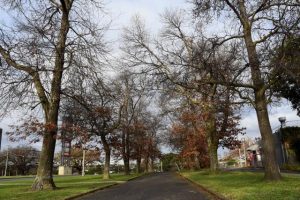 Marking the Lloyd legacy