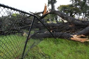 Cardinia offering addtional green waste service
