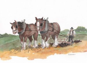 Walton farming endeavours